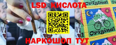 индика Ставрополь