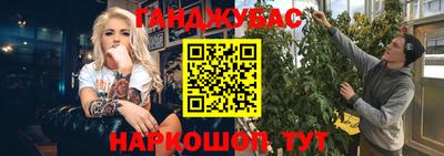 индика Ставрополь