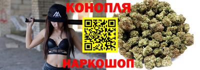 индика Ставрополь