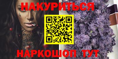 индика Ставрополь