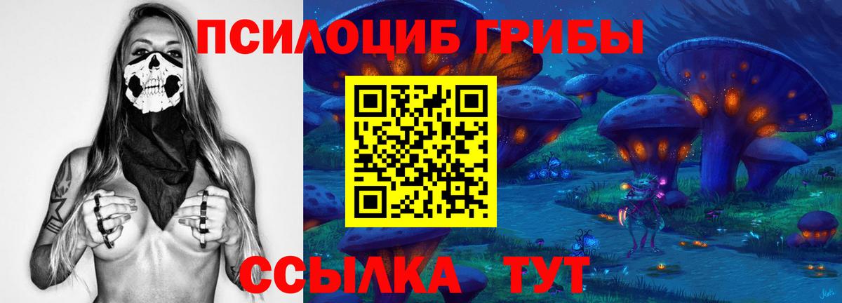 Подольск  Галлюциногенные грибы Psilocybe  Вход с VPN  Галлюциногенные грибы GOLDEN TEACHER 